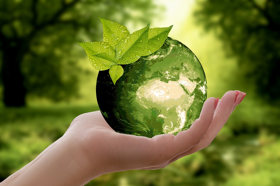 Nature Earth Sustainability - Free photo on Pixabay