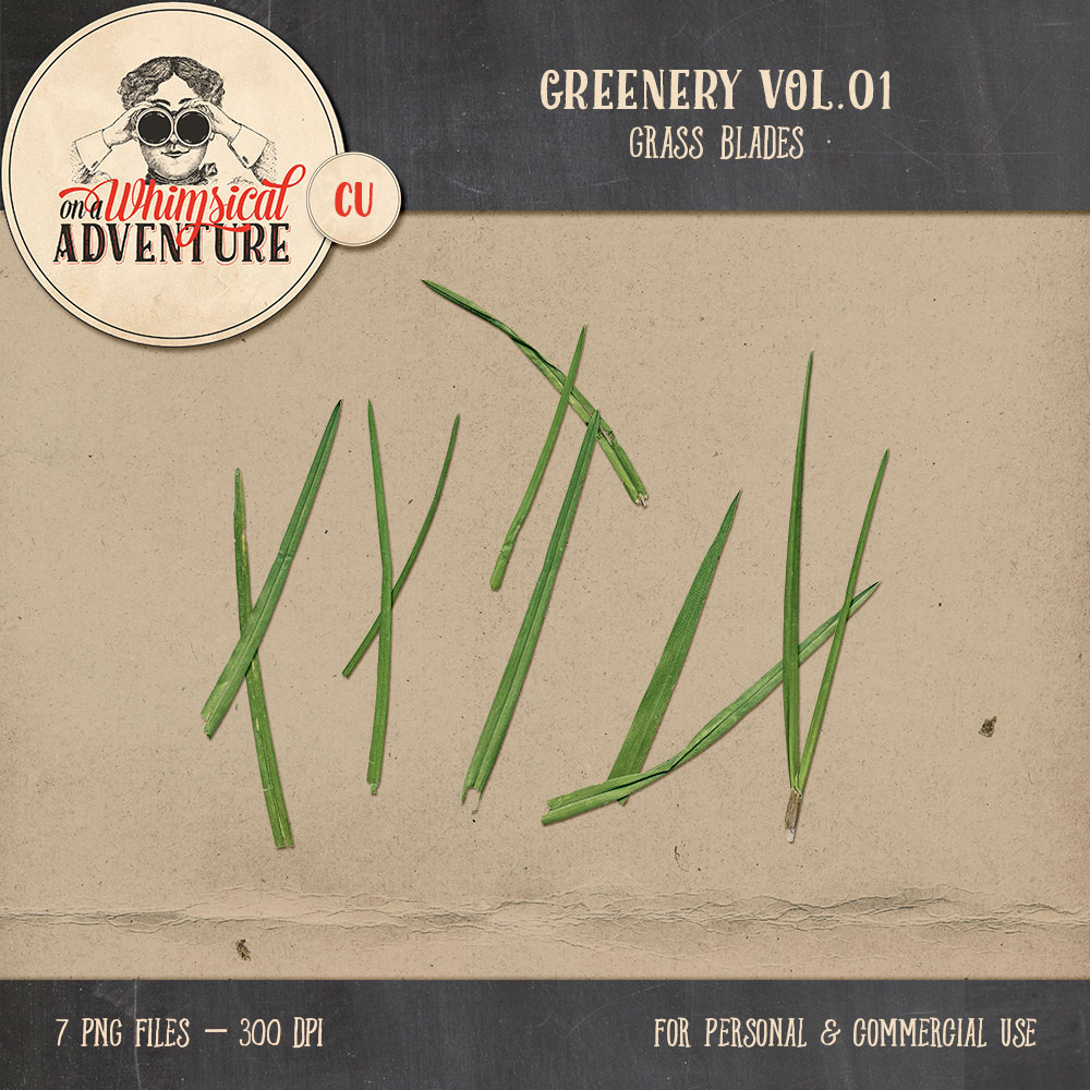 OAWA-CU-GreeneryVol01-Grass
